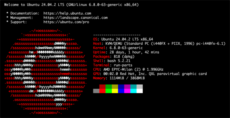 Screenshot of Neofetch running on a Fasthosts Managed VPS